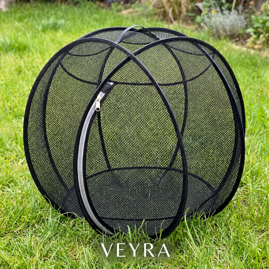 Veyra™ PawSphere